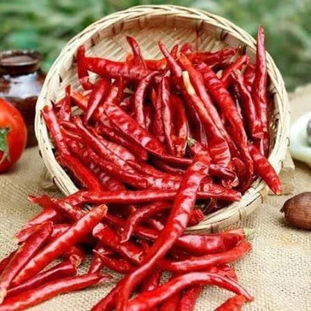 Red Chillies